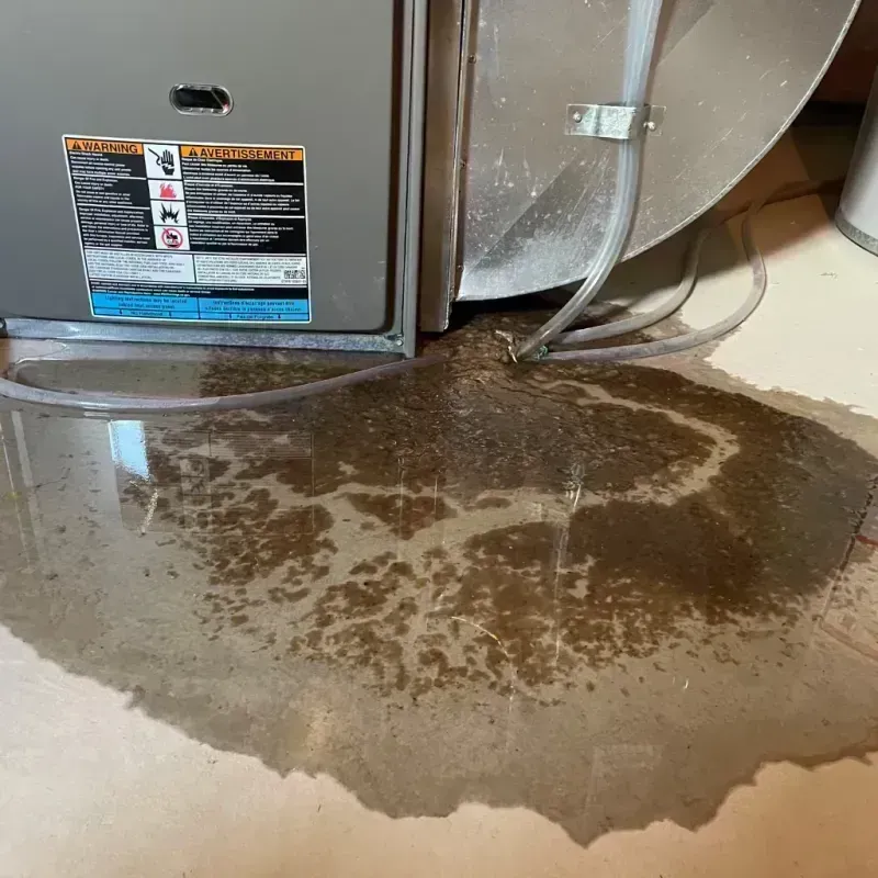 Appliance Leak Cleanup in Rosemont, IL